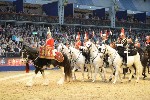 Cavalry - 00303
